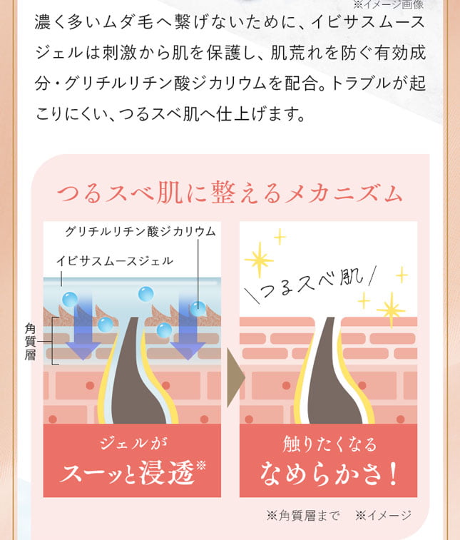 つるスベ肌に整えるメカニズム