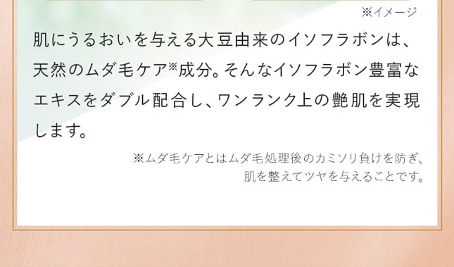 グリチルリチン酸2Ｋをサポートし、肌を整える大豆由来のイソフラボン