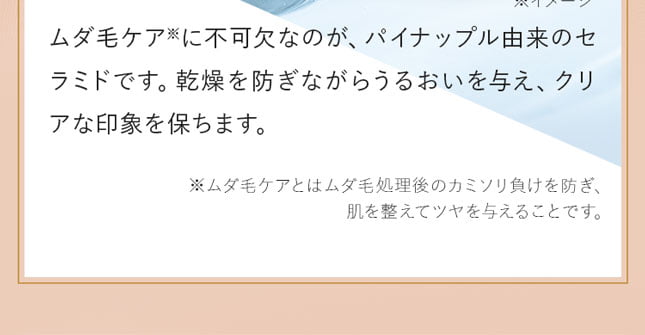 ムダ毛ケア※に不可欠なのが、みずみずしい南国フルーツ・パイナップル由来のセラミドです。